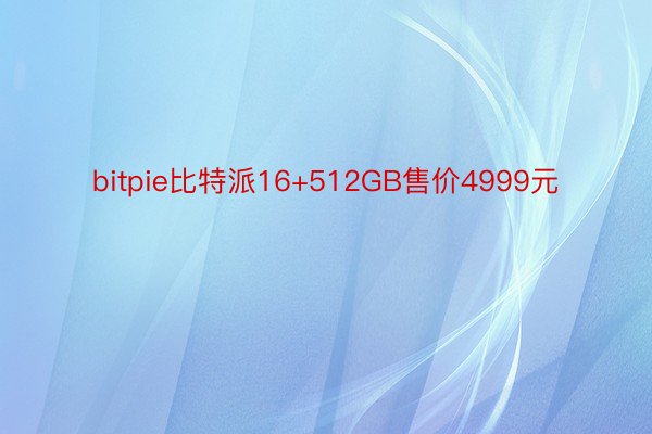 bitpie比特派16+512GB售价4999元