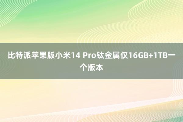 比特派苹果版小米14 Pro钛金属仅16GB+1TB一个版本