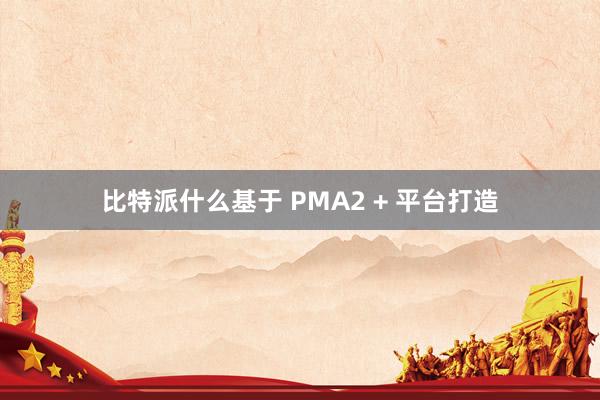 比特派什么基于 PMA2 + 平台打造