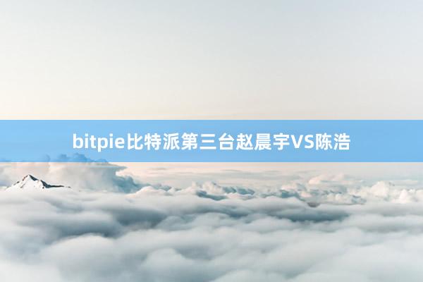 bitpie比特派第三台赵晨宇VS陈浩