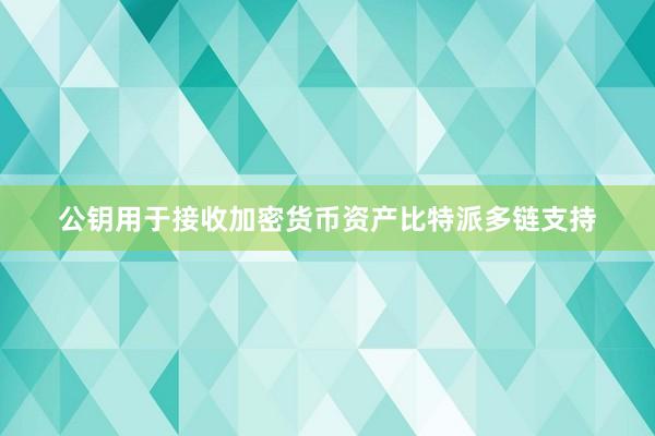 公钥用于接收加密货币资产比特派多链支持