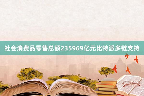 社会消费品零售总额235969亿元比特派多链支持