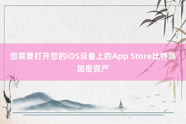 您需要打开您的iOS设备上的App Store比特派加密资产