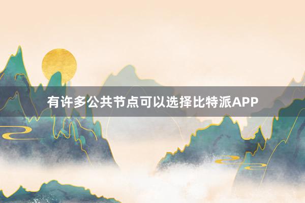 有许多公共节点可以选择比特派APP