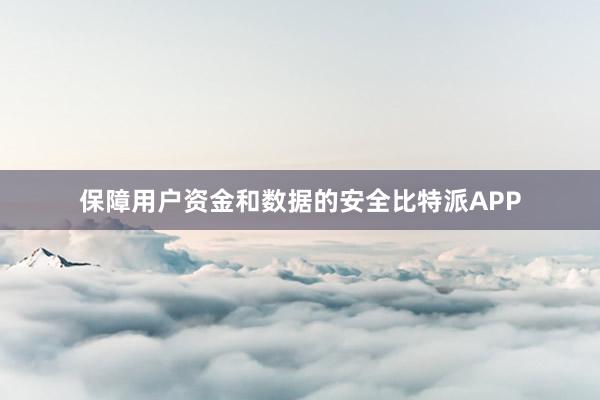 保障用户资金和数据的安全比特派APP