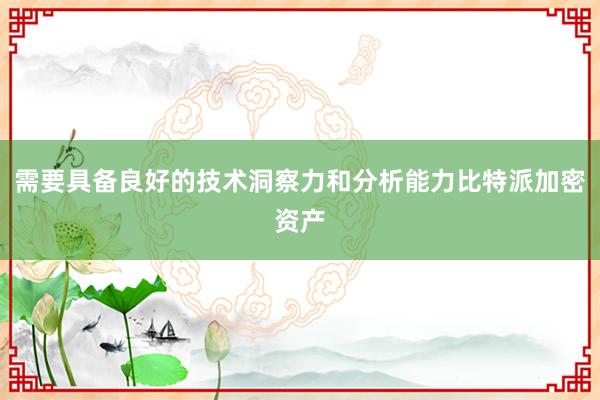 需要具备良好的技术洞察力和分析能力比特派加密资产