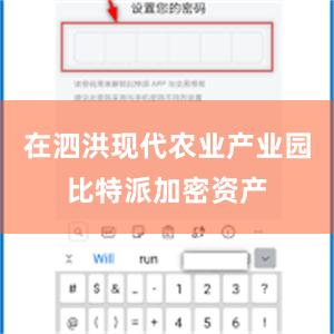 在泗洪现代农业产业园比特派加密资产