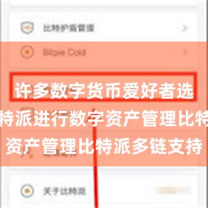 许多数字货币爱好者选择使用比特派进行数字资产管理比特派多链支持